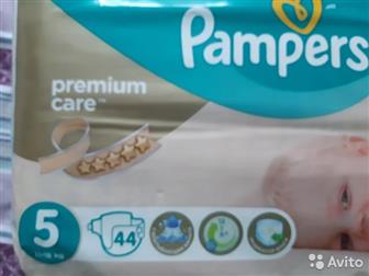  Pampers Premium Care  5,  11-18 ,  44 ,  ,   ,    EC, :   