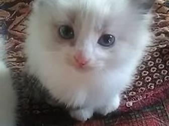   ,  ,   ,    , ,   ,      / ,  ,   