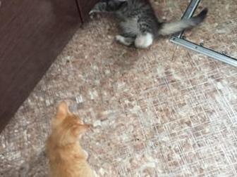     ,      -,-, ,  ,    
