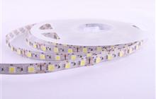 R0060AA-DW -  , 60 SMD 5050,  