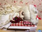  Pullip