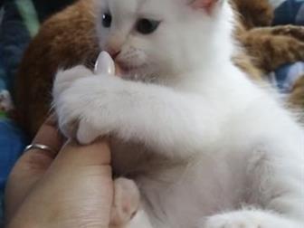      ,  ,   ,  