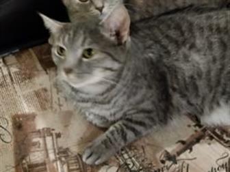   ,     !!!  