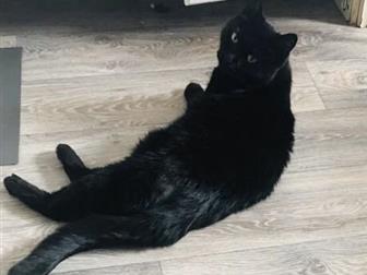      ,     ! , , !   ,  !  