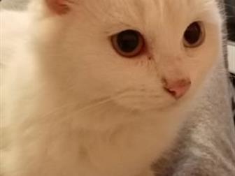    (7 ),  ,   ,   ,    ,  