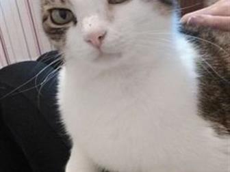  ,   5,    ,       , ,   ,   