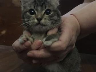     ,   !     (   )!   ,   ,  