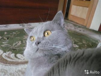       , ,5      , ,  ,  ,  