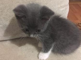  , 2  1  ,   ,  ,    ,      ,     