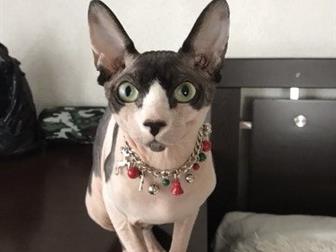      ??    2            