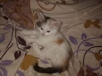  ,  ,    , ,  ,  ,     ,  