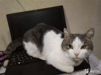        ,     , , ,   ,    5, ,    