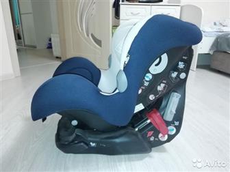  Inglesina Marco Polo Blue,      15 000 ,   ,       18 ,    ,    