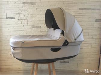    Stokke Trailz/Crusi     1 , ,   ,    , : /  