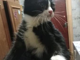    ,        ,    3 ,   ,   ,  ,   ,  