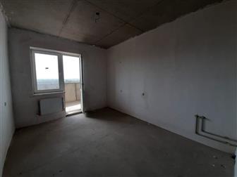 ID  : 18095012      ,            !   