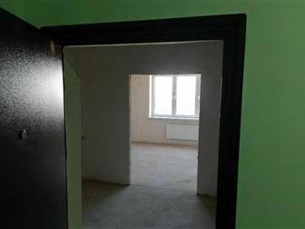  100- 3-      ,    2016 ,  
 -  , 
       