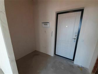     ,     ,   -    ,      , 
     