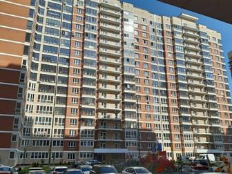     ,     ,   -    ,      , 
     