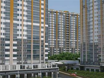  1, 11 , 1 , 
  75%, 
          ,  20, 01, 2020,    