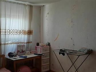   3-   ,   201,   ,   -,   1994  ,   ,  ,   