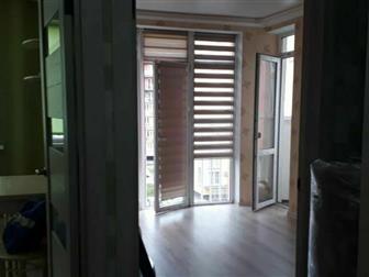  1-    -, 38 , ,    ,     , , ,   ,  ,    