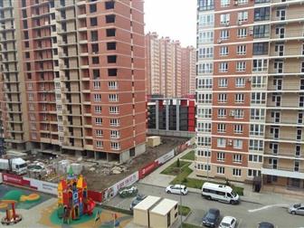 , - , 8  4  ,    ,   ,      ,     