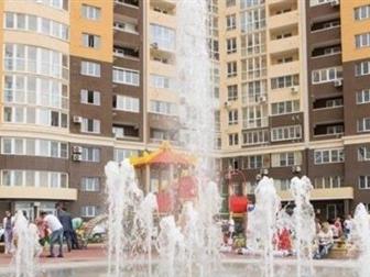      - ,    ,  ,    ,  , ,  