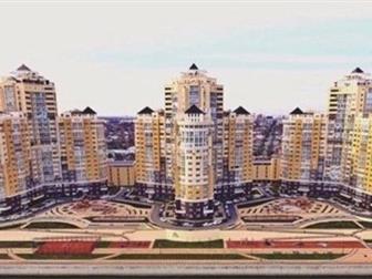      - ,    ,  ,    ,  , ,  