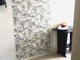     ,     (  ,   )     ,  24 2,   ,    ,  