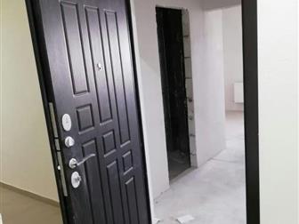         2- ,       , , 
   - ,   