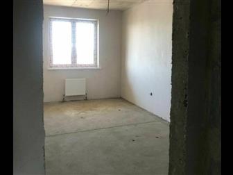  ,   ,     -  , , ,      ,     ,    