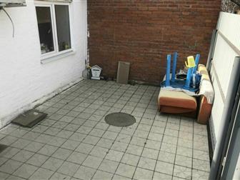  ,    ,  ,     ,     , 
    ,  WhatsApp,      