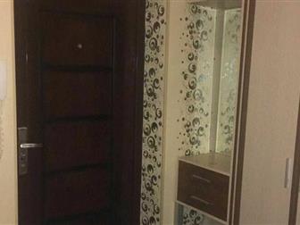   ( ) 1-,  ,   , , ,   - 13 , ,     ,  