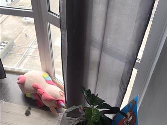    17  17  ,     16 ,     ,  ,       :  