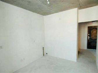  2-  (  )2  ,     ,   ,  