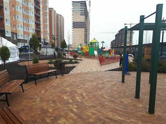  ,    ,   2-3 ,           ,   ,  7 ,    