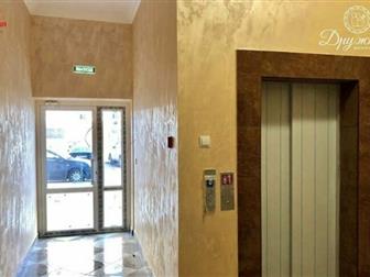   ,   2020,    ,        ,     ,   ,    