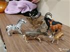   Schleich