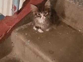 !!!    , ,   ,    , ,     ,  , ,      ,    
