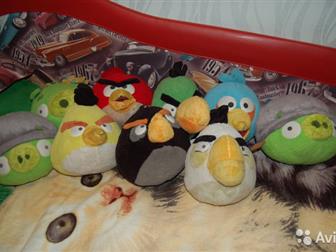        Angry Birds,    ,     , : /  