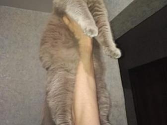  8 ,    ,          , ,  ,        ,  