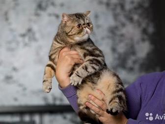 !  ,   ,  ,  