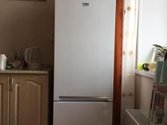  ,   ,   (152*54*53),  2-,   ,    2019,     2021 ,    