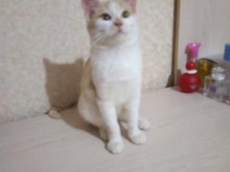 ,  ,  3 ,    ,     ,      ,  