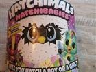 Hatchimals hatchibabies. 