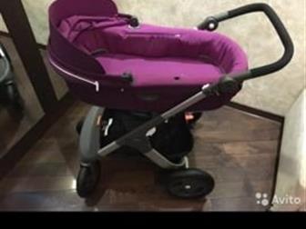   Stokke trailz purple 21    ,   : ,      ,    Terrain,  