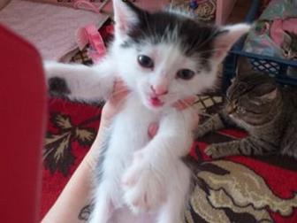   ,  !    ,   ,    , ,   !  