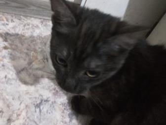 ,     ,  , ,   2-3    ,         2 ,     