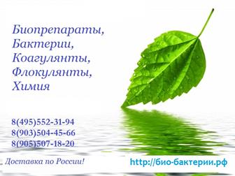 ����������� ���� ������ ������������ ��-���/ BIOREMOVE/ Bichem DC 1008 - ���������� �������� ���������� ����������� ��� ������� ������������ ������� ��� � ������� �������� ����������� 37694837 � ������